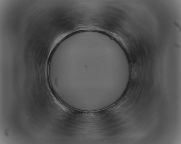 X0000091911231200710031013