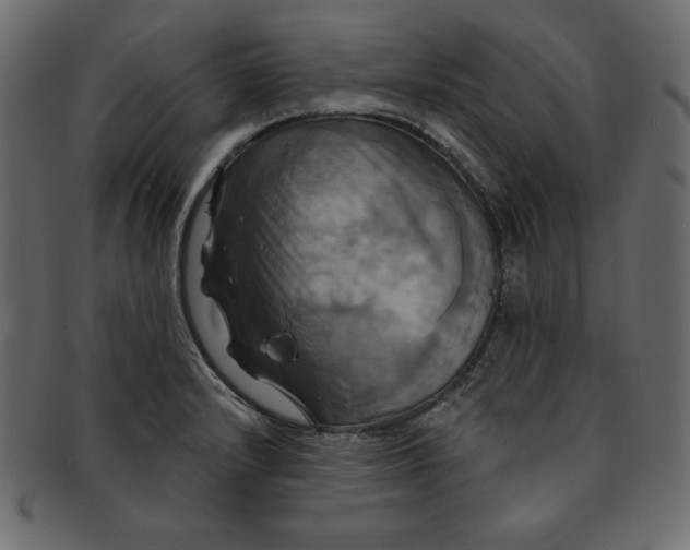 X0000091911232200710031013