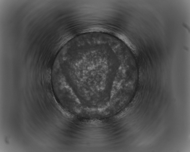 X0000091911233200710031013