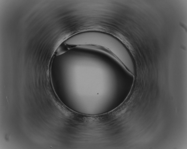 X0000091911234200710031013