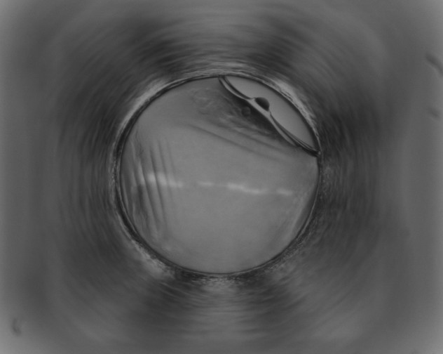 X0000091911235200710031013