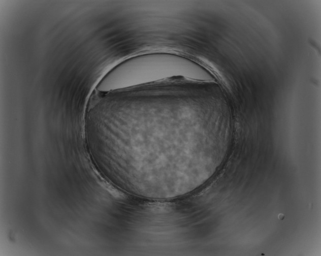 X0000091911236200710031013