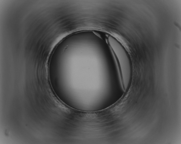 X0000091911238200710031013