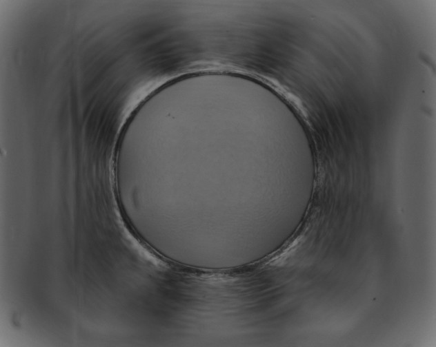 X0000091911239200710031013