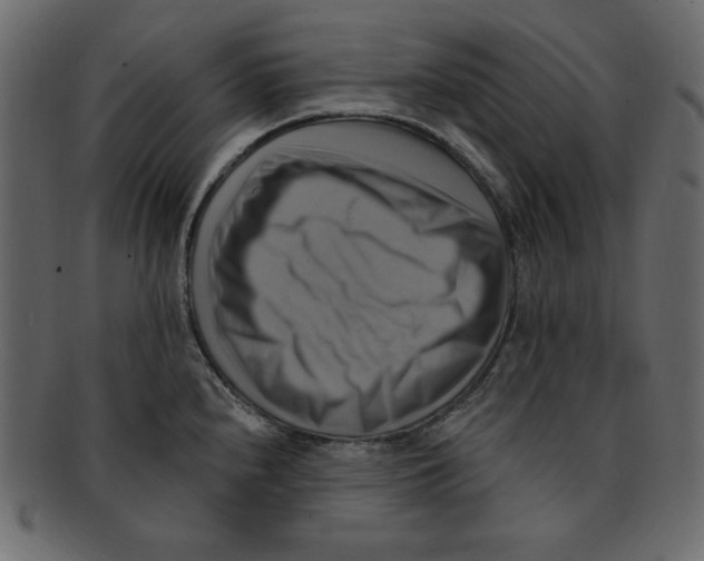 X0000091911240200710031013