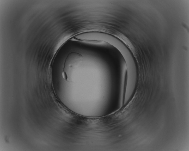 X0000091911242200710031013