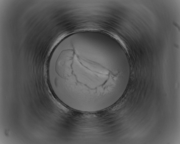 X0000091911243200710031013