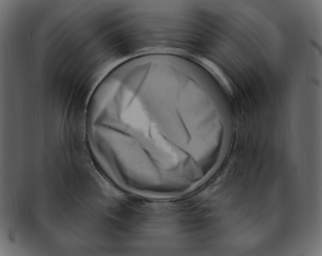 X0000091911244200710031013