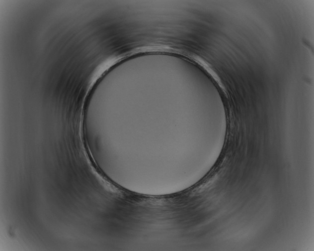 X0000091911245200710031013