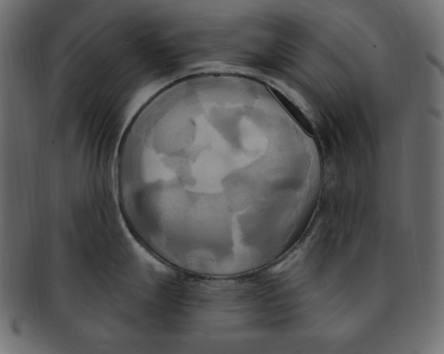 X0000091911247200710031013