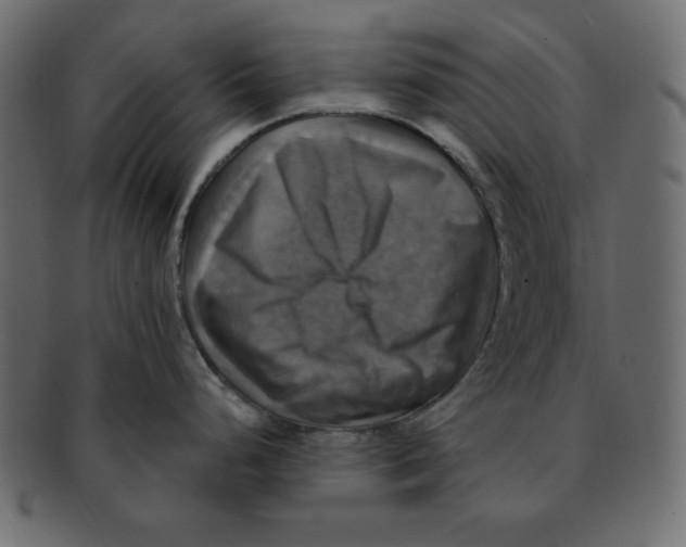 X0000091911248200710031013