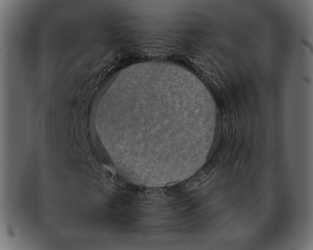 X0000091911249200710031012