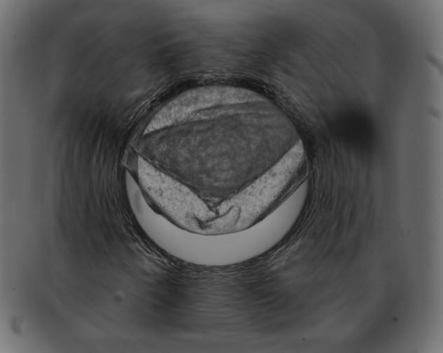 X0000091911250200710031012