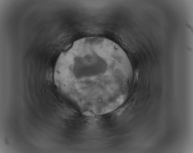 X0000091911251200710031012