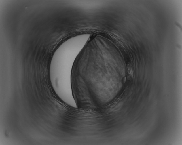 X0000091911252200710031012