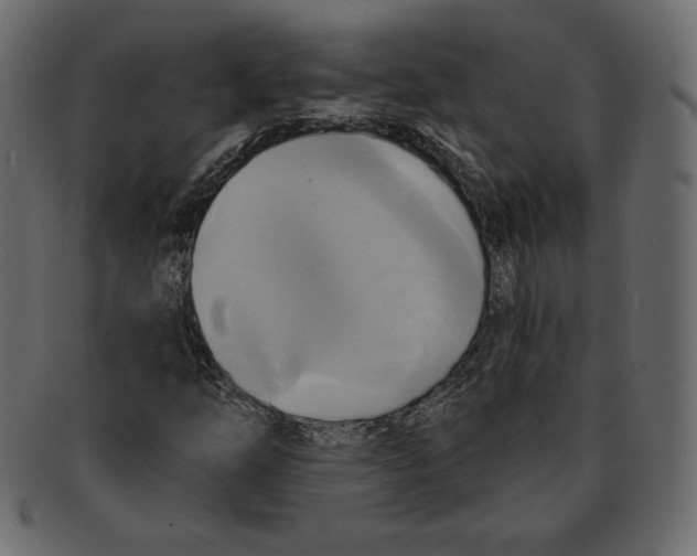 X0000091911254200710031012