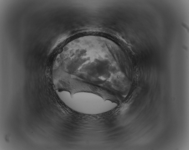 X0000091911255200710031012