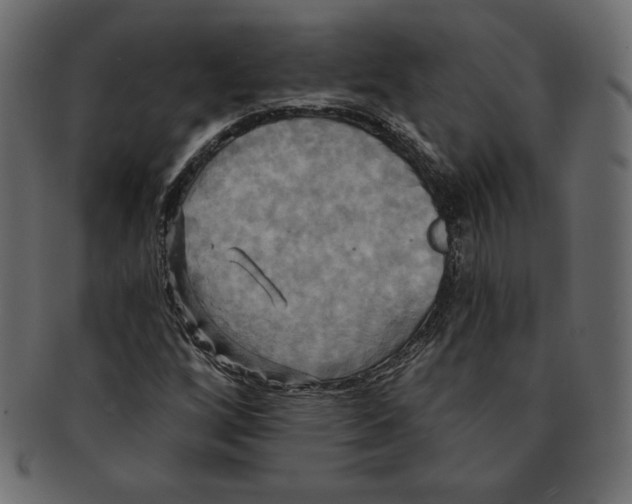 X0000091911256200710031012