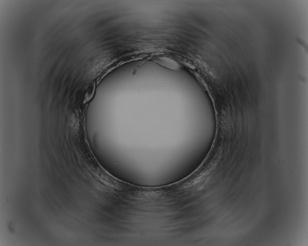 X0000091911257200710031012