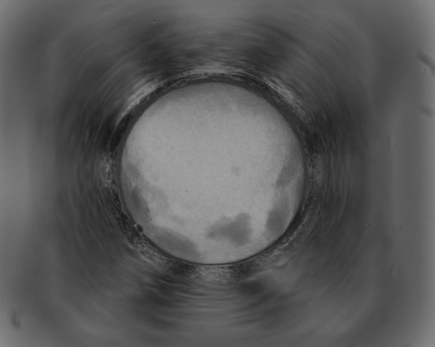 X0000091911258200710031012