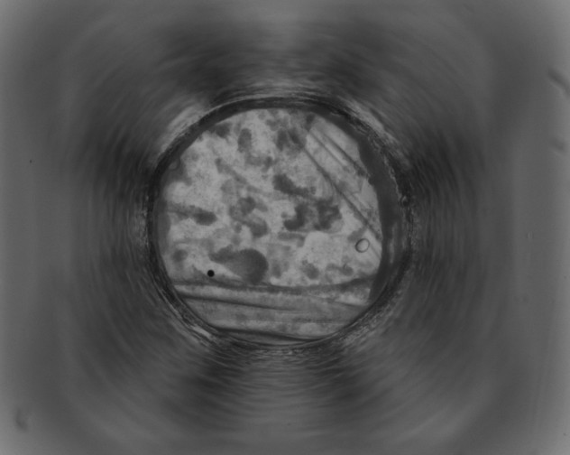 X0000091911259200710031012