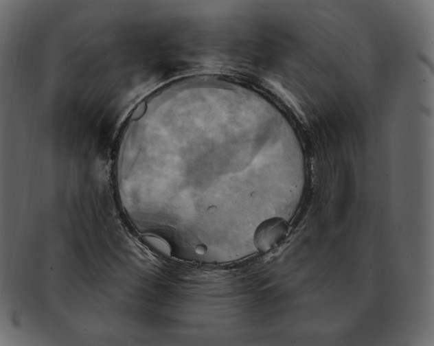 X0000091911260200710031012