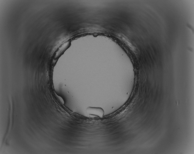 X0000091911261200710031012