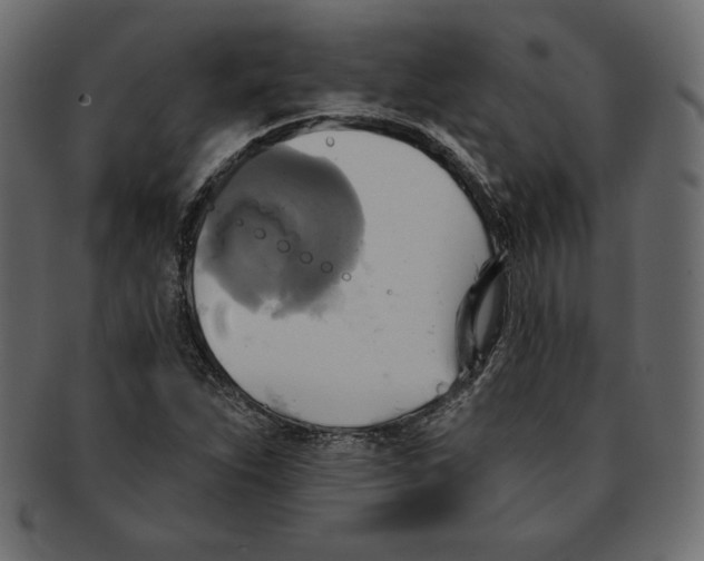 X0000091911263200710031012