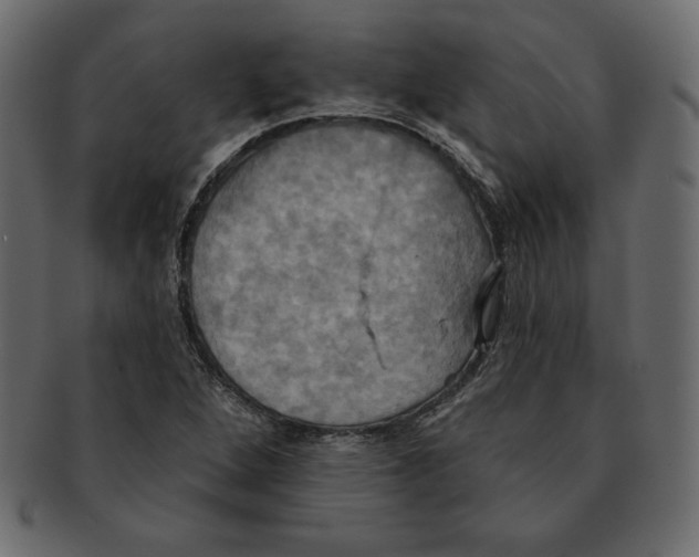 X0000091911264200710031012