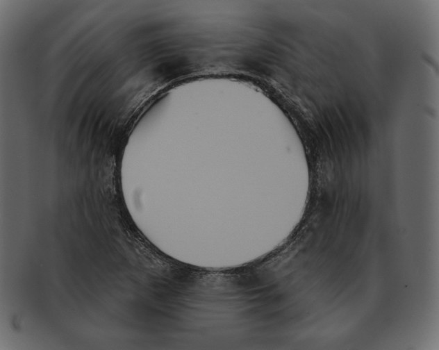 X0000091911265200710031012