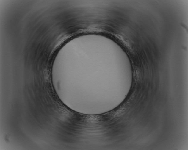 X0000091911266200710031012