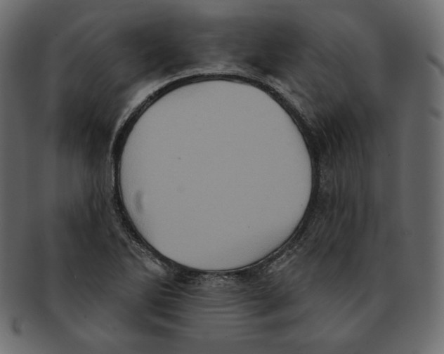 X0000091911270200710031012