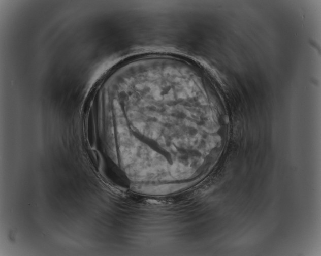 X0000091911271200710031012