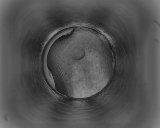 X0000091911272200710031012