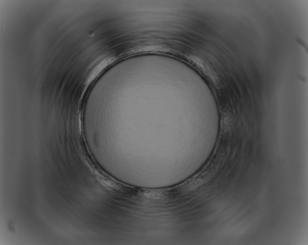 X0000091911274200710031012