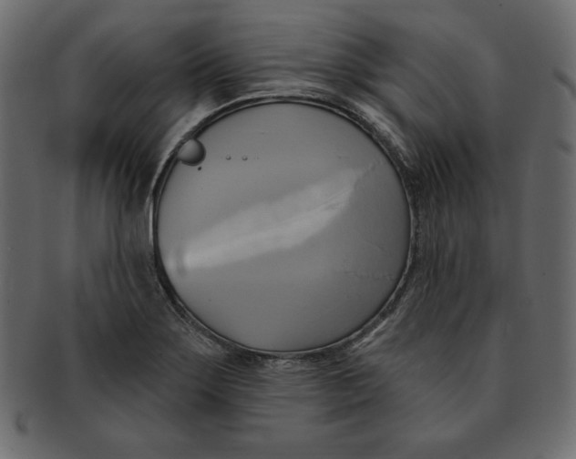 X0000091911275200710031012