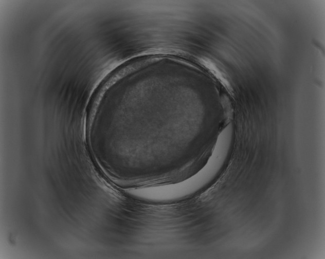 X0000091911276200710031012