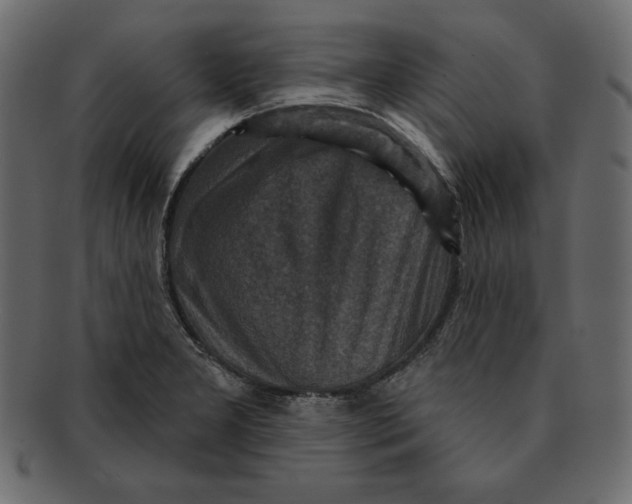 X0000091911277200710031012