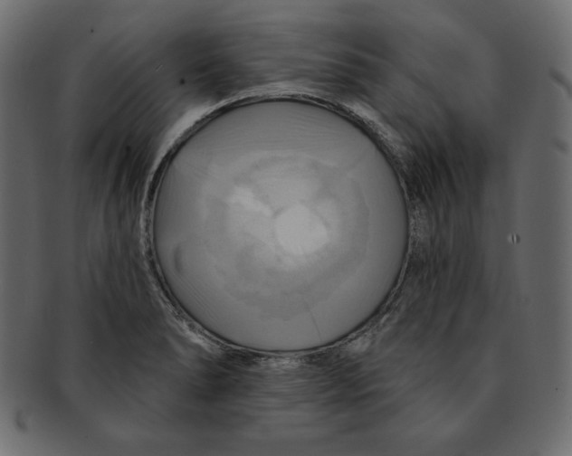 X0000091911278200710031012