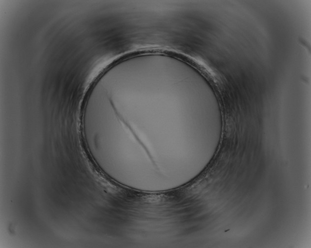 X0000091911279200710031012