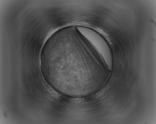 X0000091911280200710031012