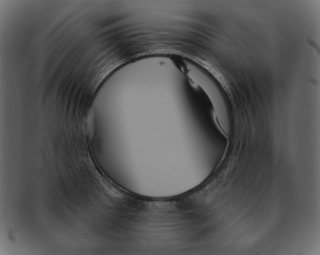 X0000091911281200710031012