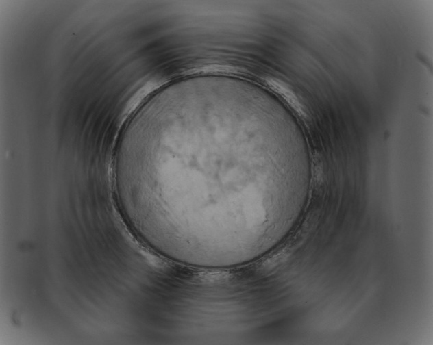 X0000091911282200710031012