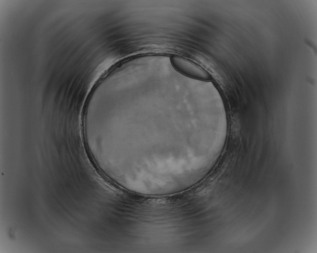 X0000091911283200710031012