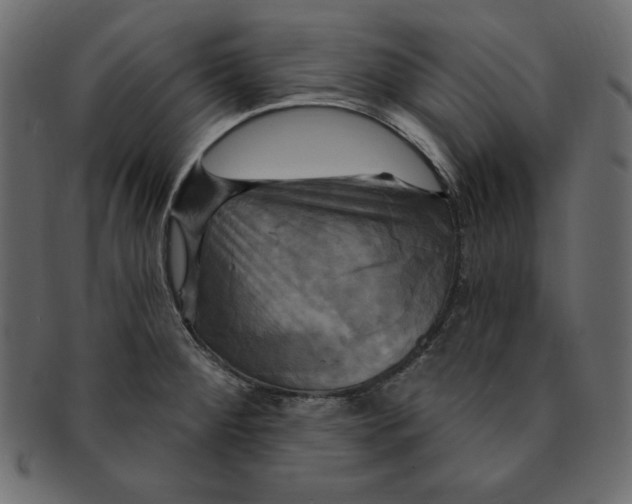 X0000091911284200710031012