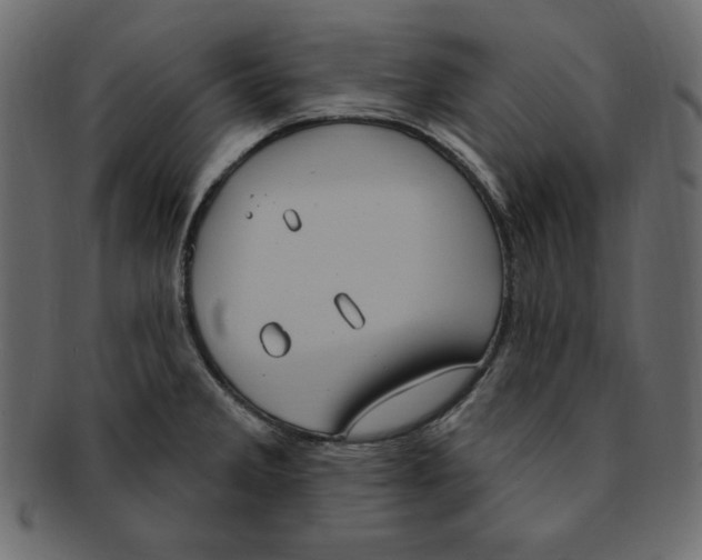 X0000091911285200710031012