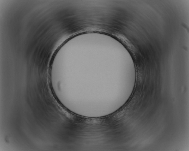 X0000091911286200710031012