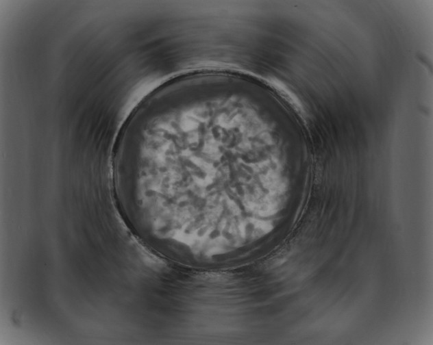 X0000091911287200710031012