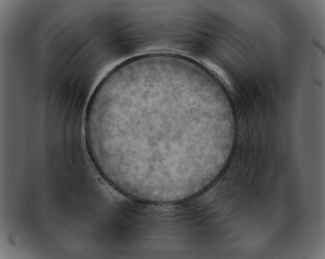 X0000091911288200710031012