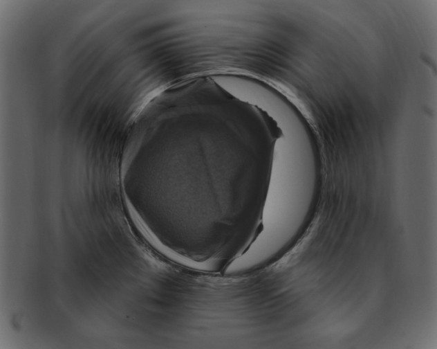 X0000091911289200710031012